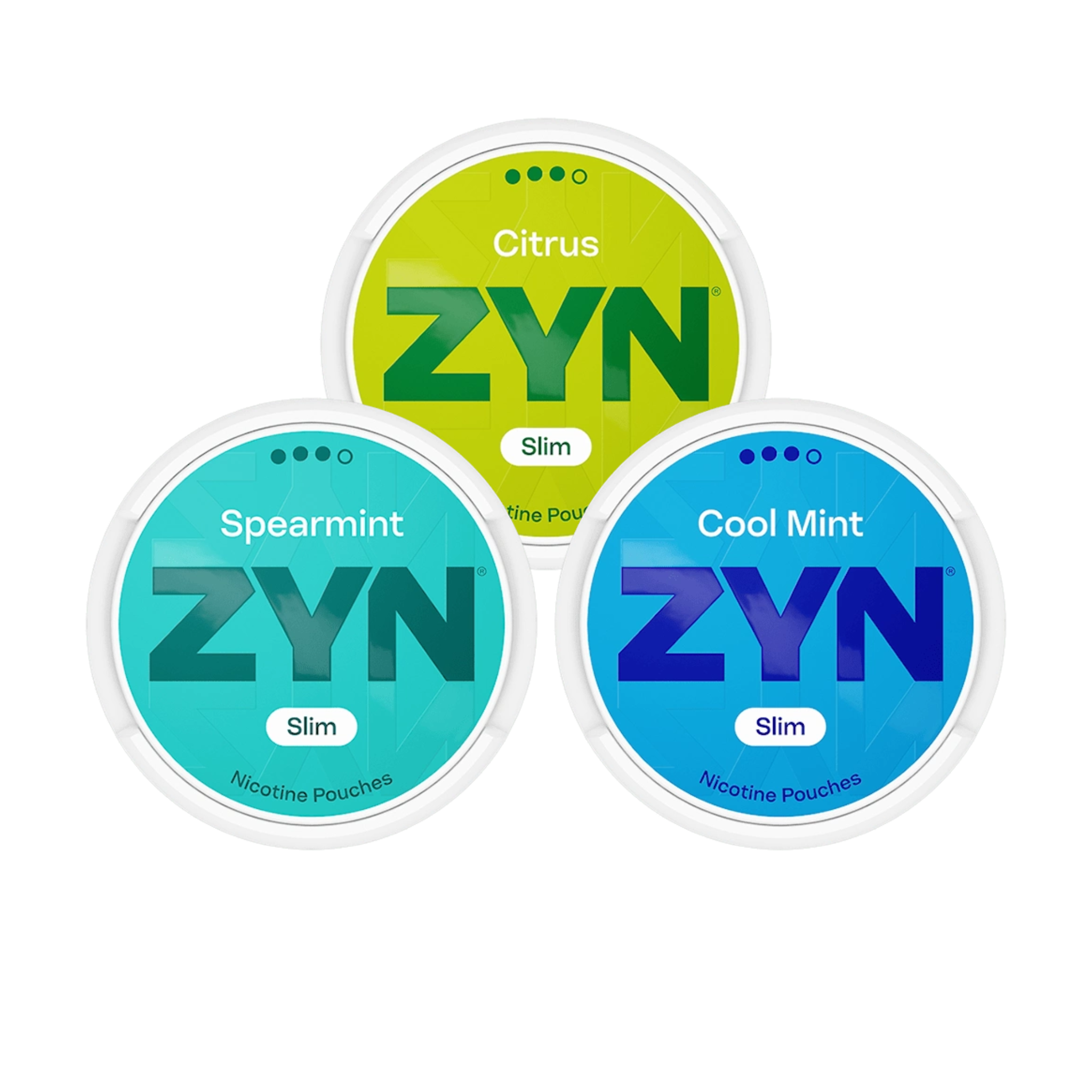 ZYN Cool Mint 6mg